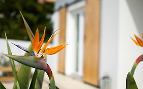 Casa-Simplicity